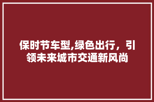 保时节车型,绿色出行，引领未来城市交通新风尚