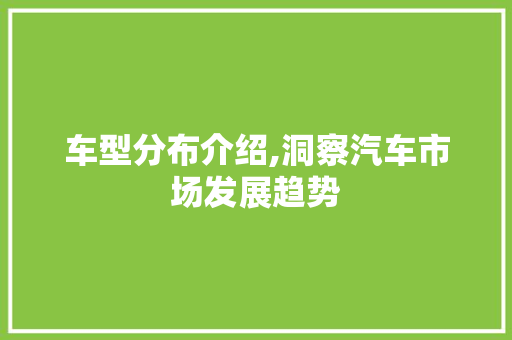车型分布介绍,洞察汽车市场发展趋势