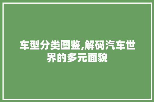 车型分类图鉴,解码汽车世界的多元面貌