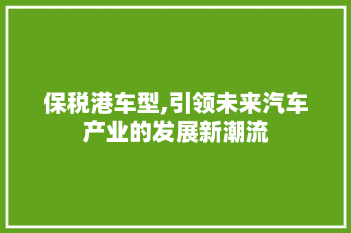 保税港车型,引领未来汽车产业的发展新潮流