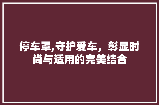 停车罩,守护爱车，彰显时尚与适用的完美结合