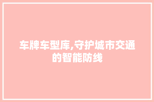 车牌车型库,守护城市交通的智能防线