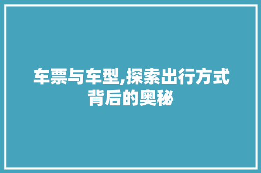 车票与车型,探索出行方式背后的奥秘