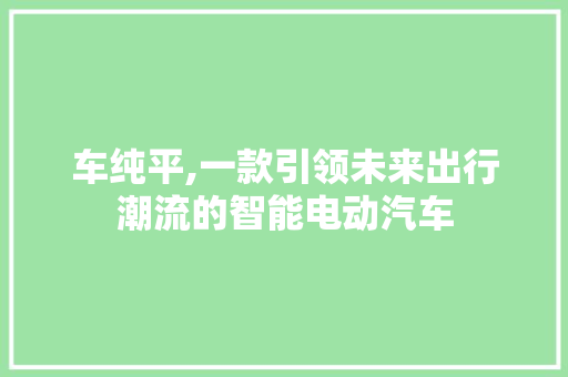 车纯平,一款引领未来出行潮流的智能电动汽车