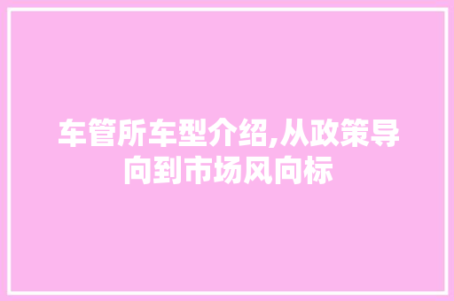 车管所车型介绍,从政策导向到市场风向标