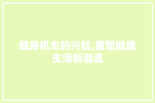 健身机车的兴起,重塑健康生活新潮流