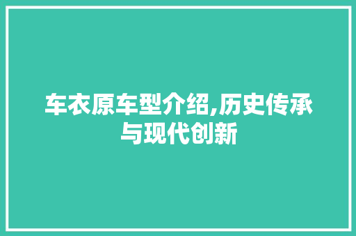 车衣原车型介绍,历史传承与现代创新 变速箱配件