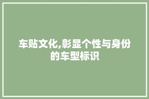 车贴文化,彰显个性与身份的车型标识 蓄电池配件