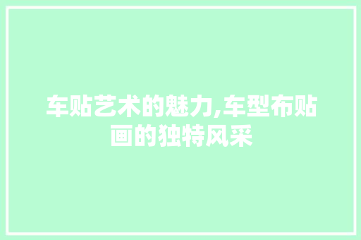 车贴艺术的魅力,车型布贴画的独特风采
