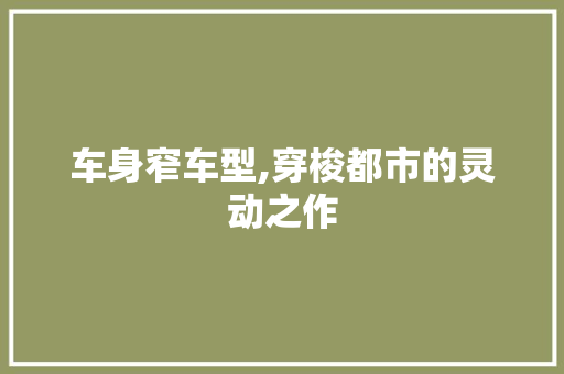 车身窄车型,穿梭都市的灵动之作