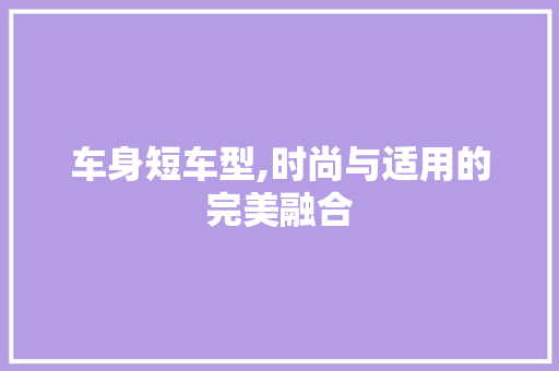 车身短车型,时尚与适用的完美融合
