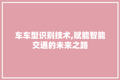 车车型识别技术,赋能智能交通的未来之路