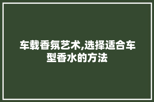 车载香氛艺术,选择适合车型香水的方法