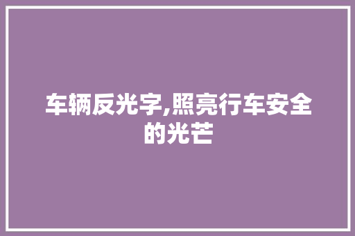 车辆反光字,照亮行车安全的光芒