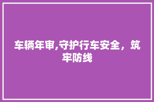 车辆年审,守护行车安全，筑牢防线