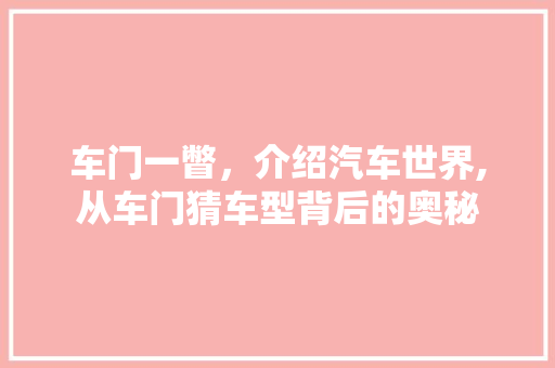 车门一瞥，介绍汽车世界,从车门猜车型背后的奥秘