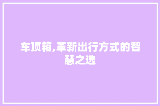 车顶箱,革新出行方式的智慧之选