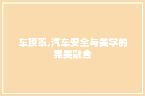 车顶罩,汽车安全与美学的完美融合