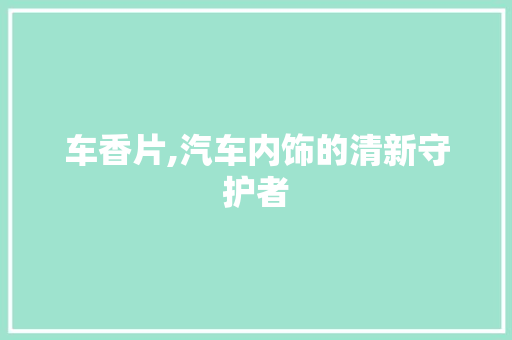 车香片,汽车内饰的清新守护者