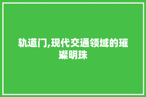 轨道门,现代交通领域的璀璨明珠
