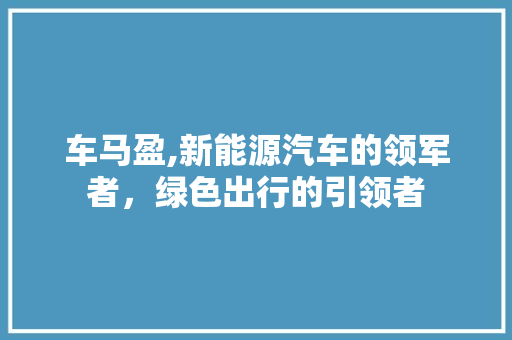 车马盈,新能源汽车的领军者，绿色出行的引领者