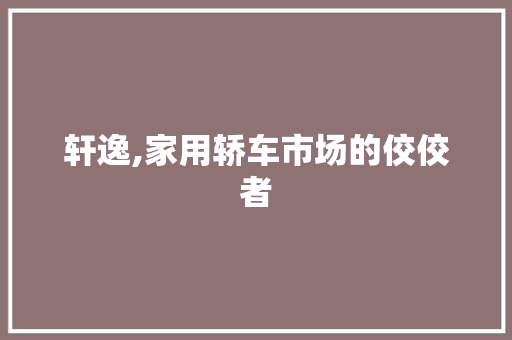轩逸,家用轿车市场的佼佼者