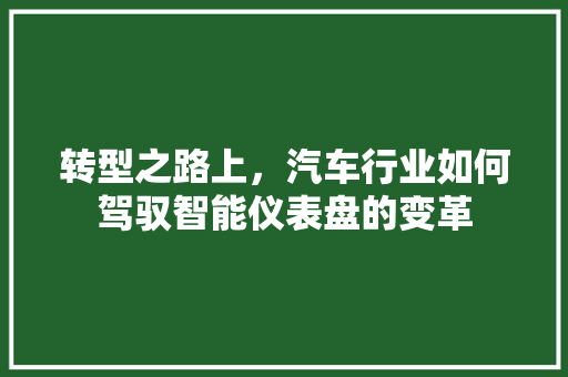 转型之路上，汽车行业如何驾驭智能仪表盘的变革