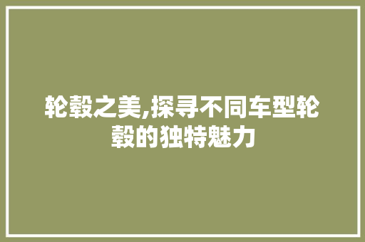 轮毂之美,探寻不同车型轮毂的独特魅力