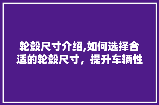 轮毂尺寸介绍,如何选择合适的轮毂尺寸，提升车辆性能与安全