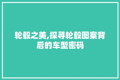 轮毂之美,探寻轮毂图案背后的车型密码