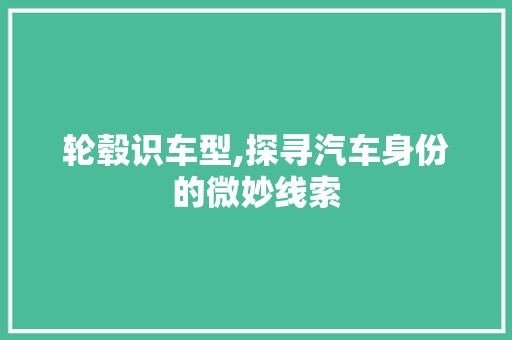 轮毂识车型,探寻汽车身份的微妙线索