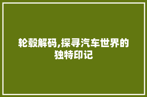 轮毂解码,探寻汽车世界的独特印记