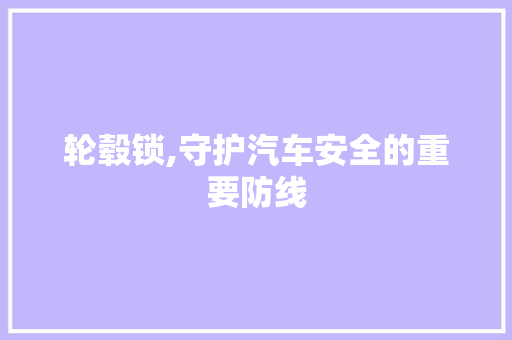 轮毂锁,守护汽车安全的重要防线