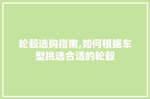 轮毂选购指南,如何根据车型挑选合适的轮毂