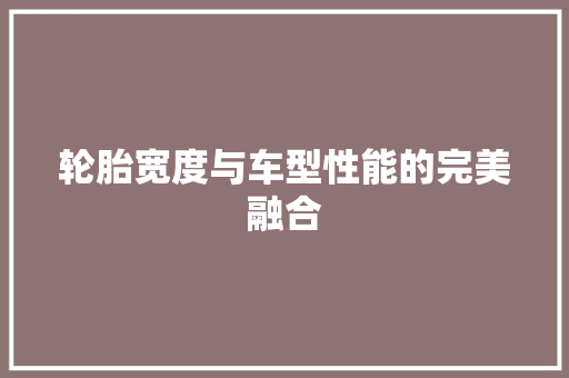 轮胎宽度与车型性能的完美融合