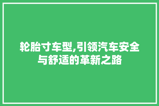 轮胎寸车型,引领汽车安全与舒适的革新之路