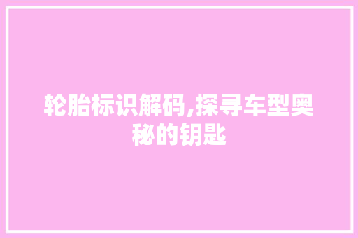 轮胎标识解码,探寻车型奥秘的钥匙