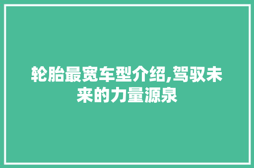 轮胎最宽车型介绍,驾驭未来的力量源泉