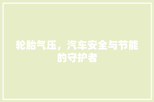 轮胎气压，汽车安全与节能的守护者