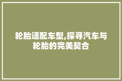 轮胎适配车型,探寻汽车与轮胎的完美契合