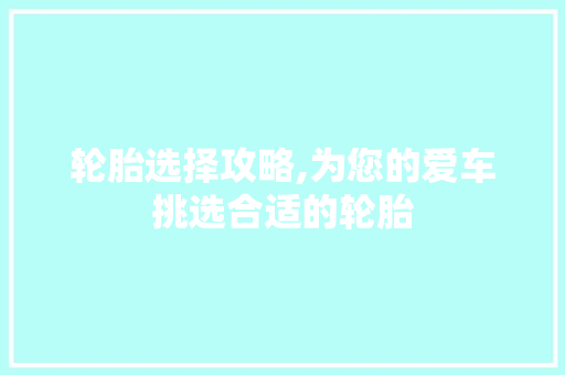 轮胎选择攻略,为您的爱车挑选合适的轮胎