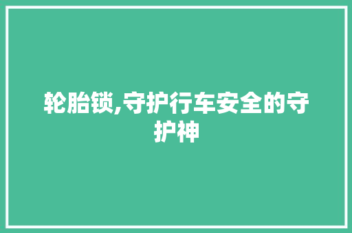轮胎锁,守护行车安全的守护神