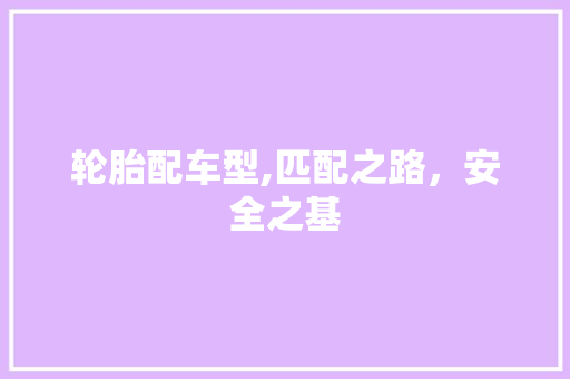 轮胎配车型,匹配之路，安全之基