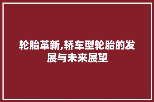 轮胎革新,轿车型轮胎的发展与未来展望