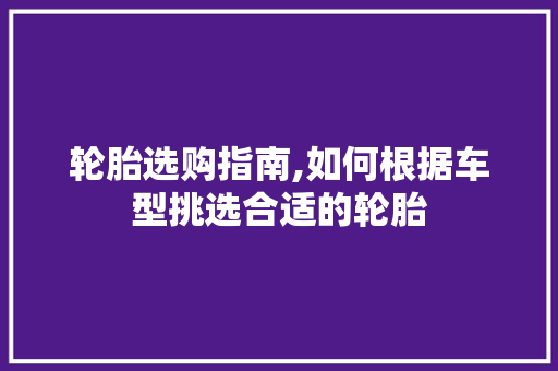 轮胎选购指南,如何根据车型挑选合适的轮胎