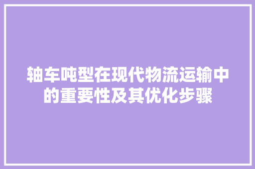 轴车吨型在现代物流运输中的重要性及其优化步骤