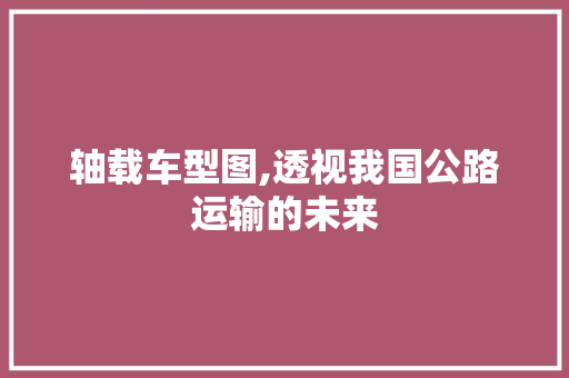 轴载车型图,透视我国公路运输的未来