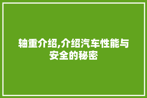 轴重介绍,介绍汽车性能与安全的秘密