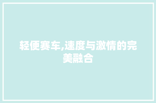 轻便赛车,速度与激情的完美融合