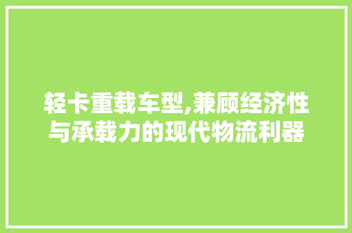 轻卡重载车型,兼顾经济性与承载力的现代物流利器